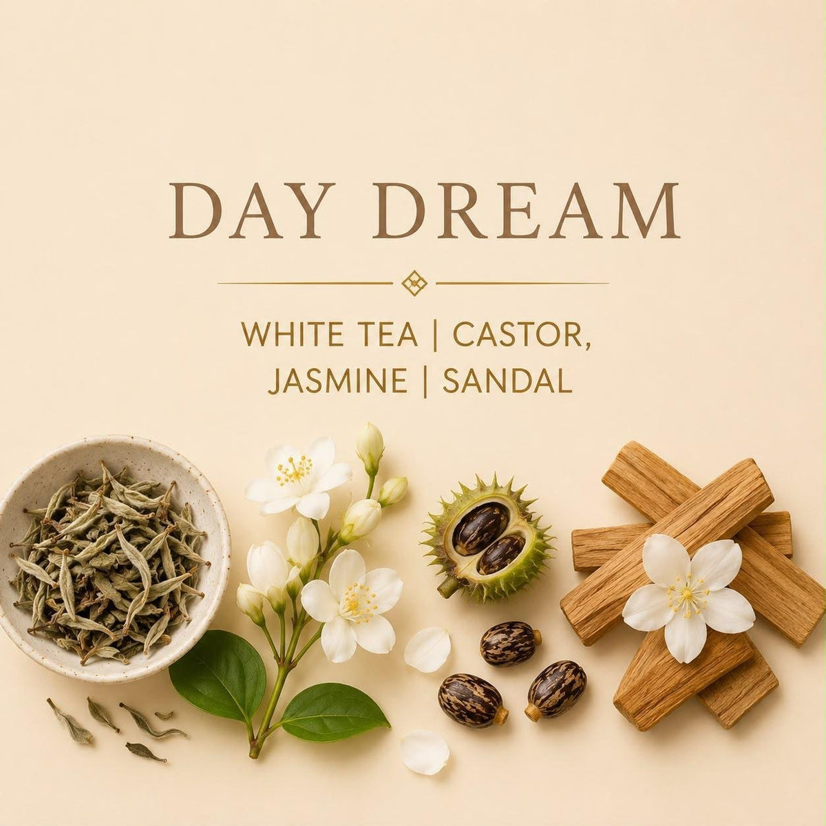 Day Dream candle scent notes with white tea, castor, jasmine and sandalwood
