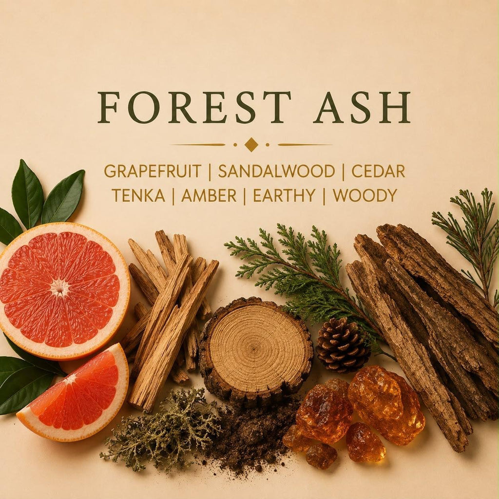 Forest Ash candle scent notes with grapefruit, sandalwood, cedar, amber, woody notes and earthy notes